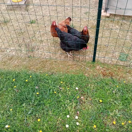 L Escapade ベッド・アンド・ブレックファスト 3*