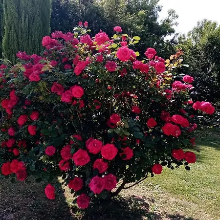 L Escapade ベッド・アンド・ブレックファスト Rabastens