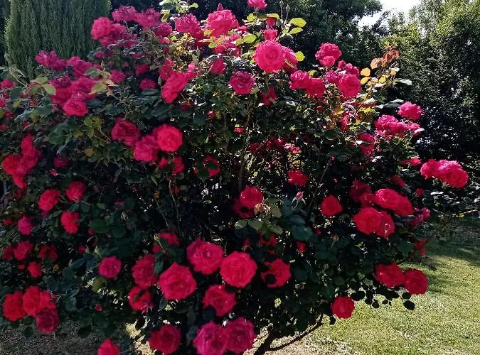 L Escapade Frühstückspension Rabastens